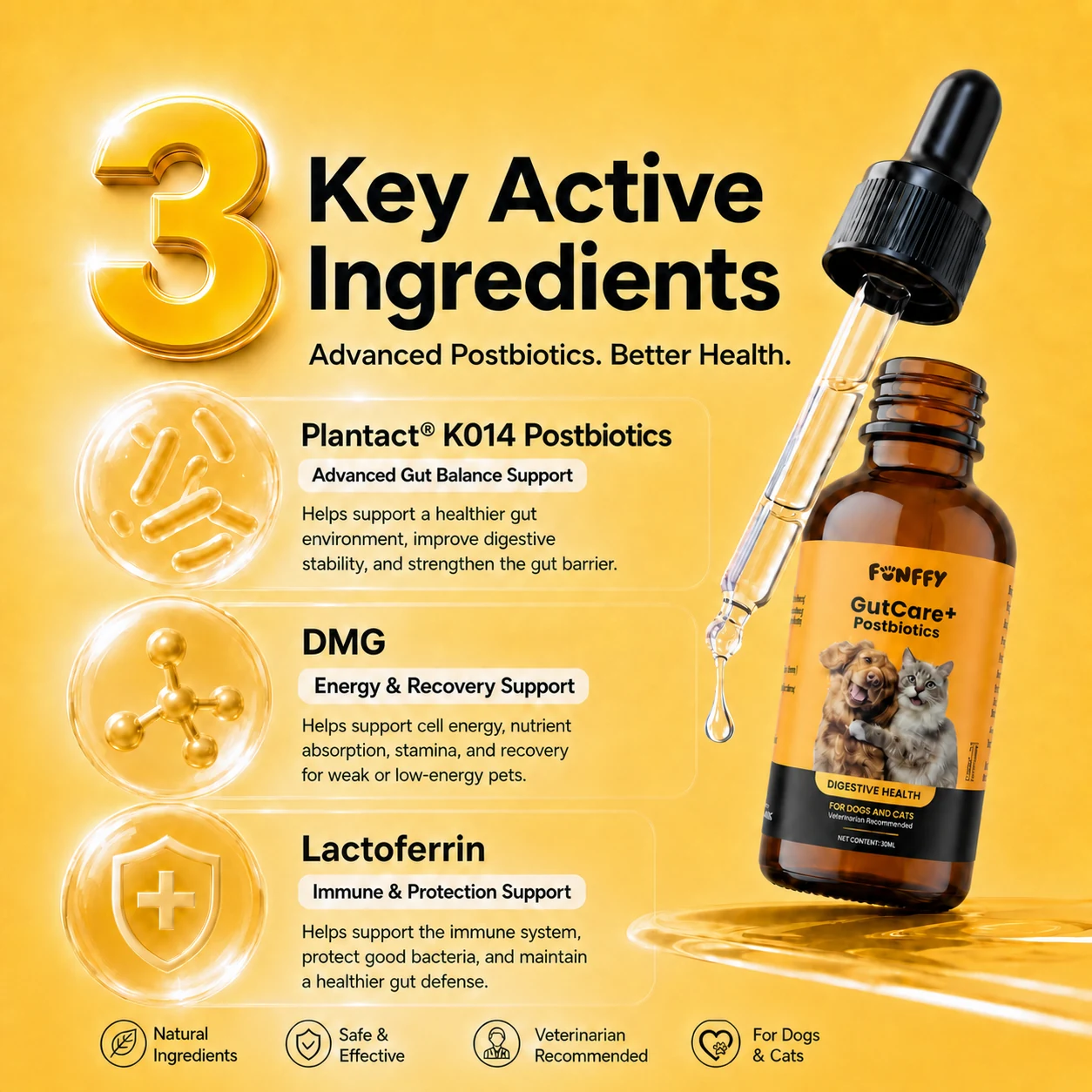 FUNFFY GutCare+ three active ingredients